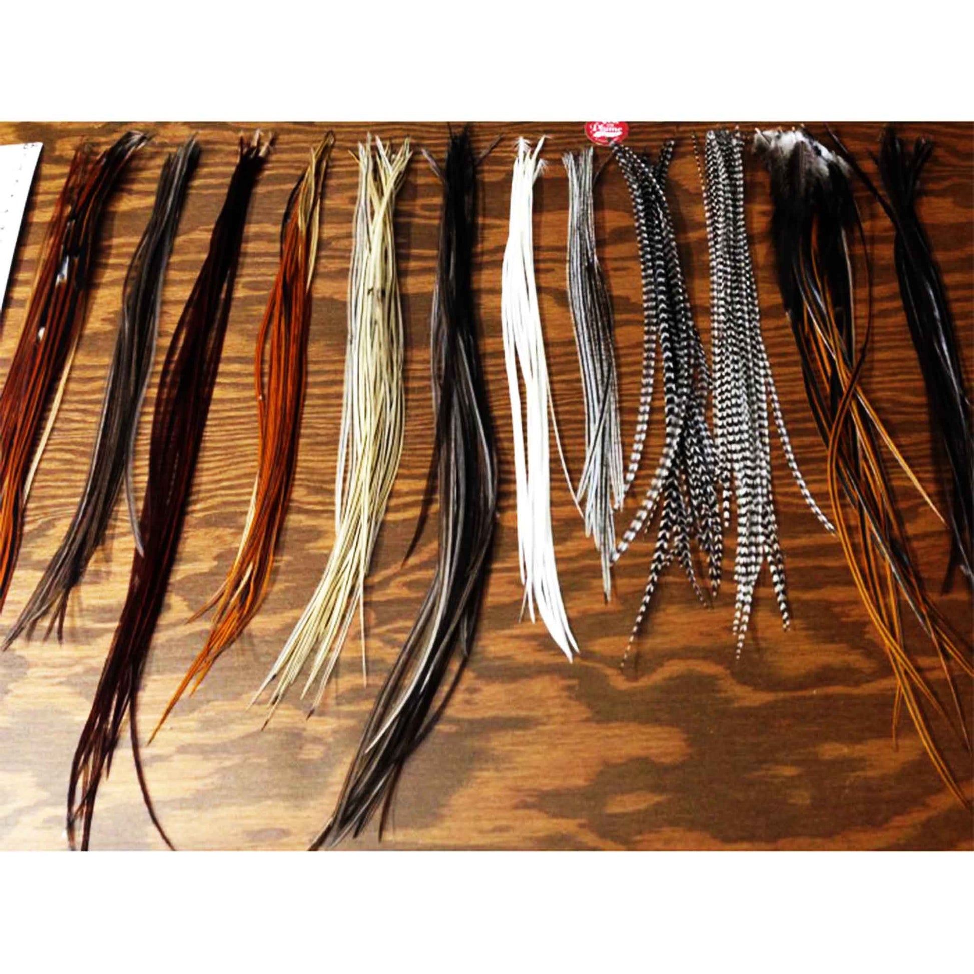 Bulk Feathers - 12 natural colors feathers