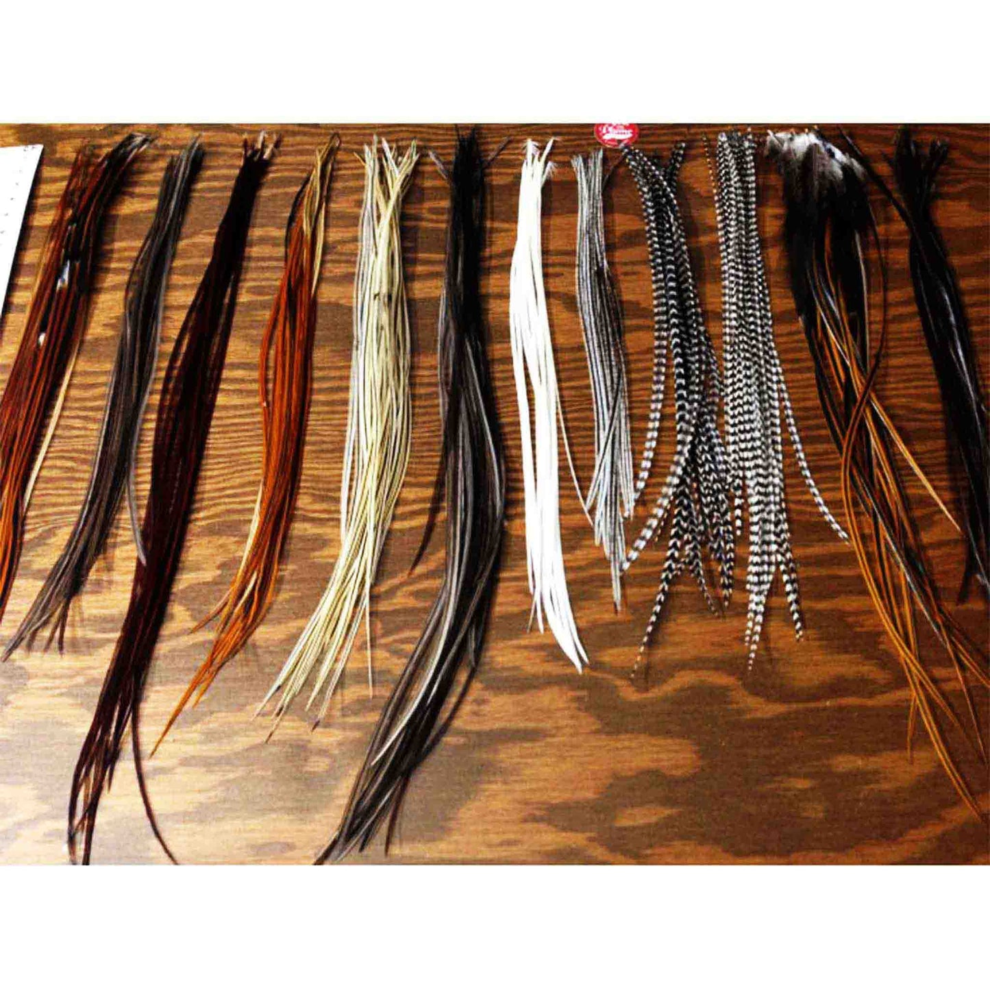 Bulk Feathers - natural colors