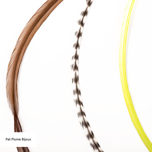 Feather extensions - 3 feathers - Maya l'abeille