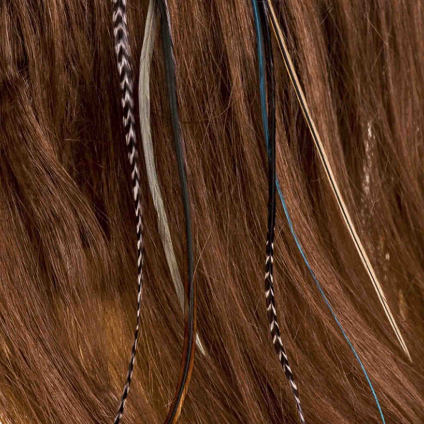 Feather extensions - 3 feathers - Caramel - Hair