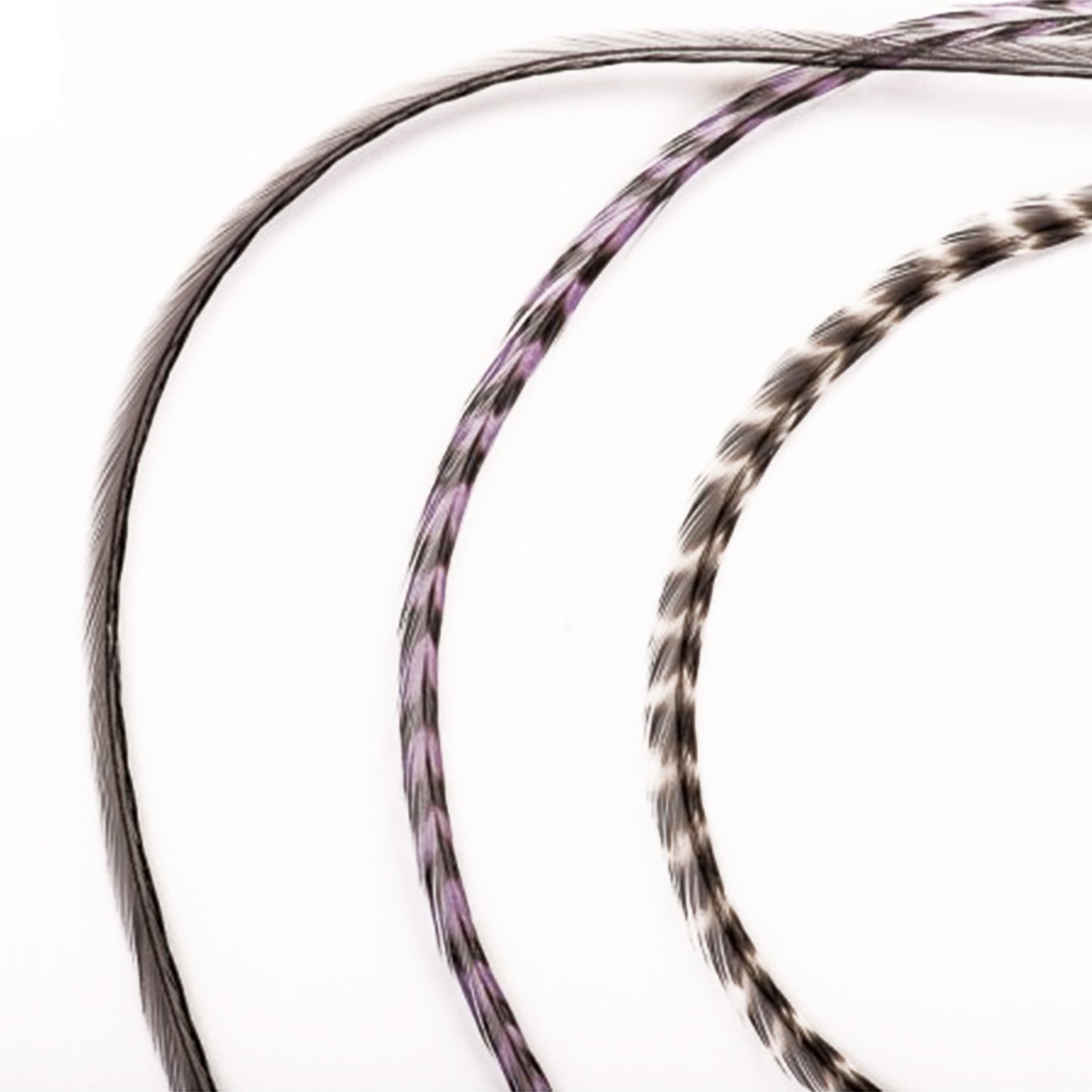 Feather extensions - 3 feathers - Crepuscule