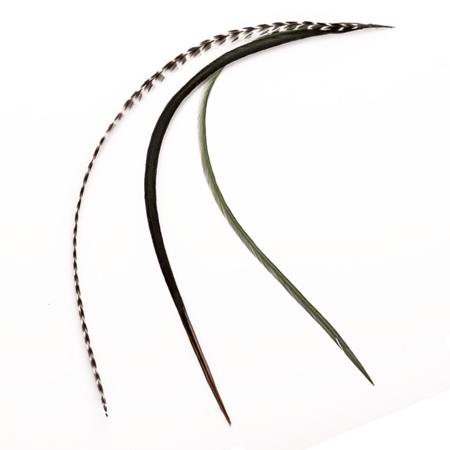 Feather extensions - 3 feathers - Jungle