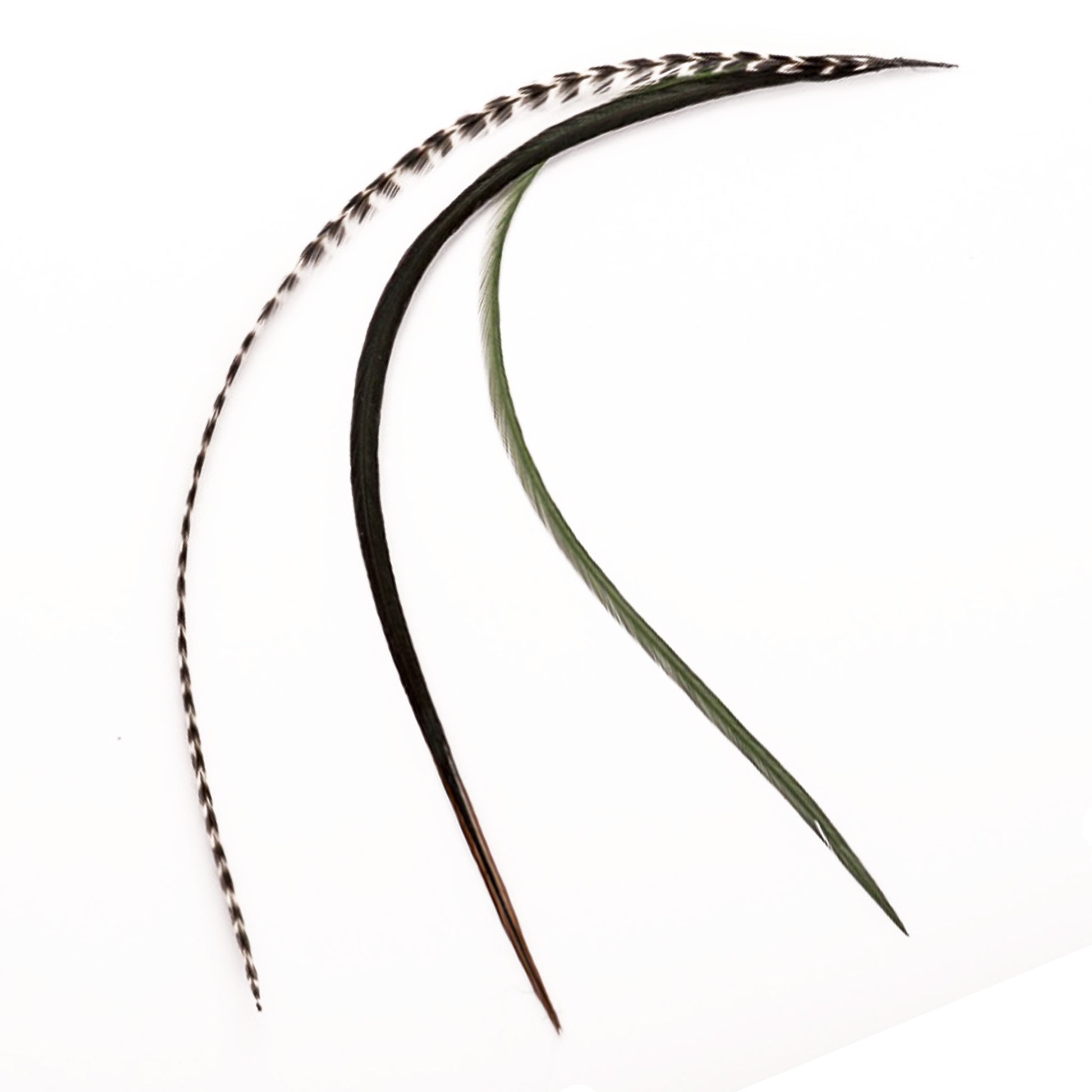 Feather extensions - 3 feathers - Jungle