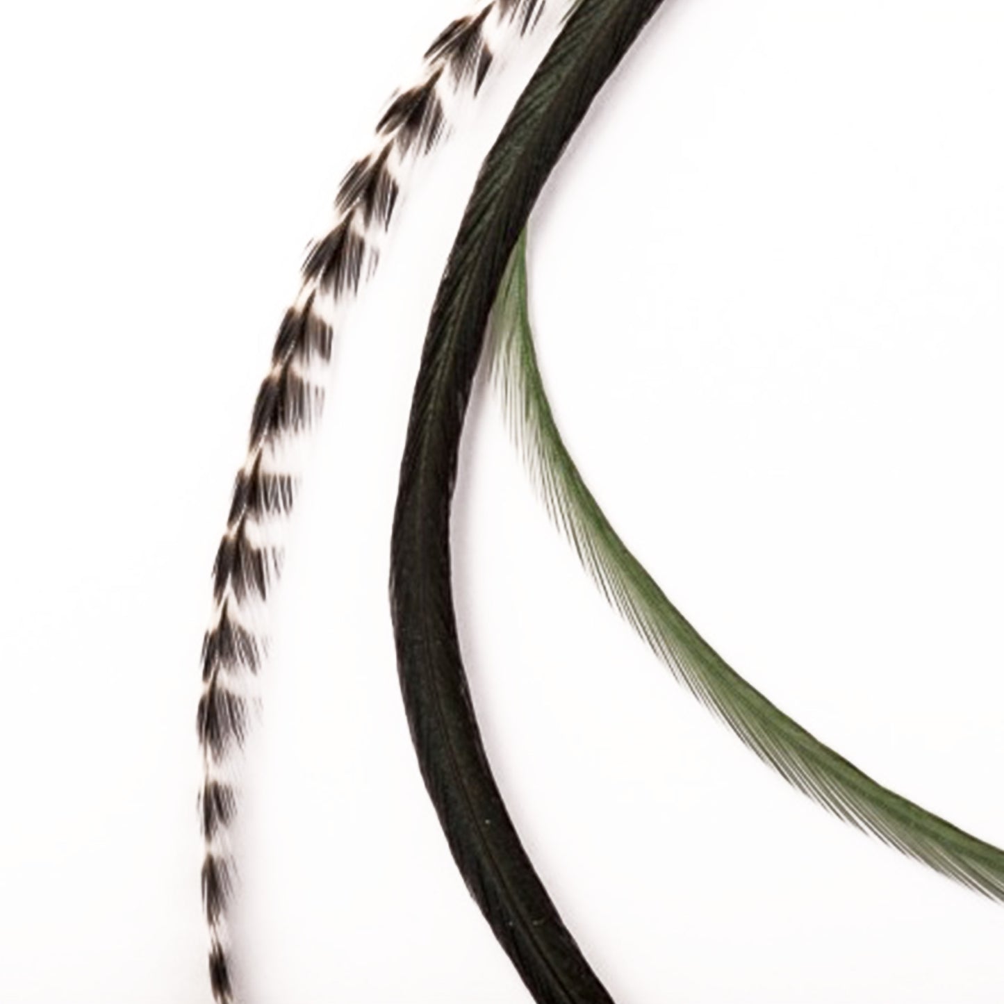 Feather extensions - 3 feathers - Jungle