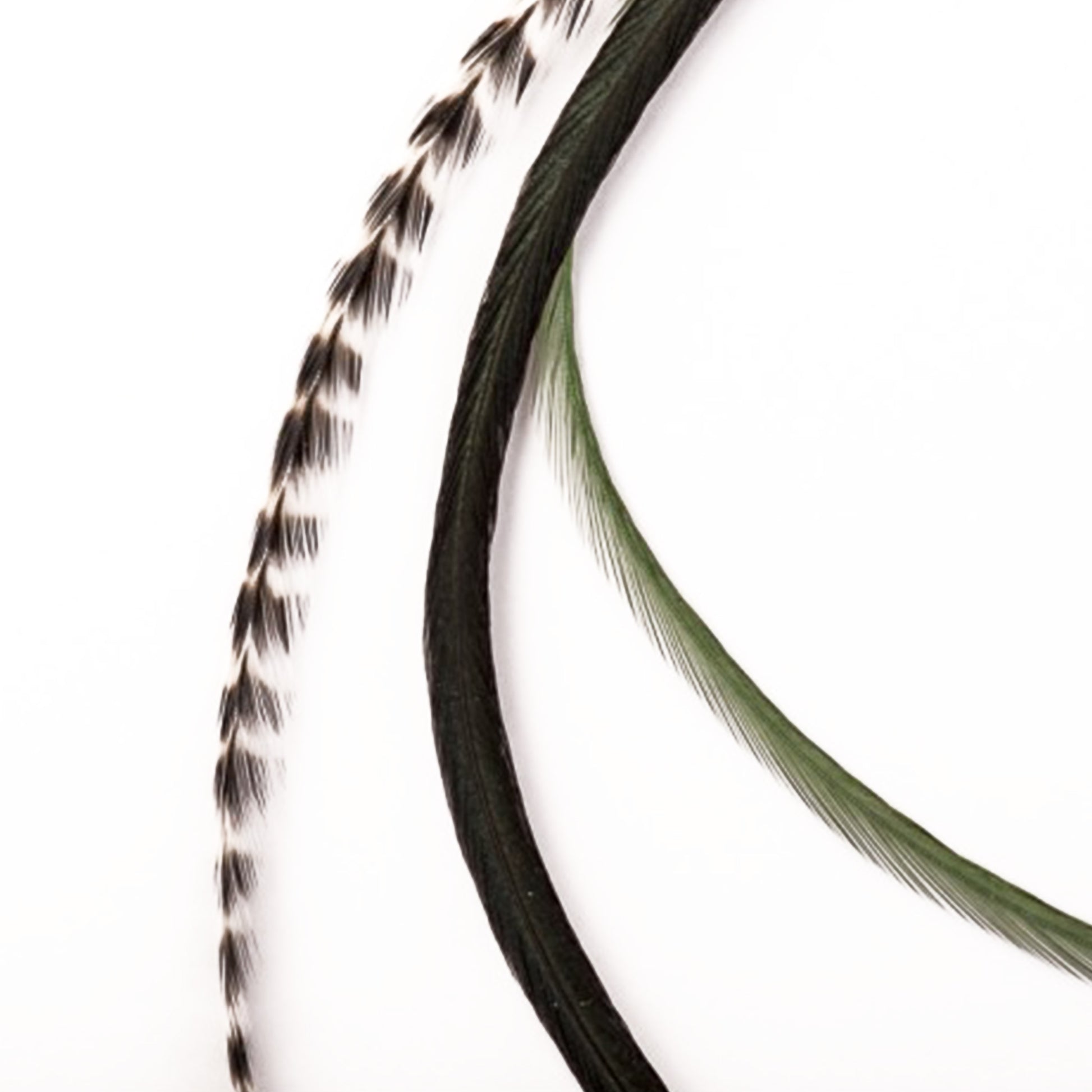 Feather extensions - 3 feathers - Jungle