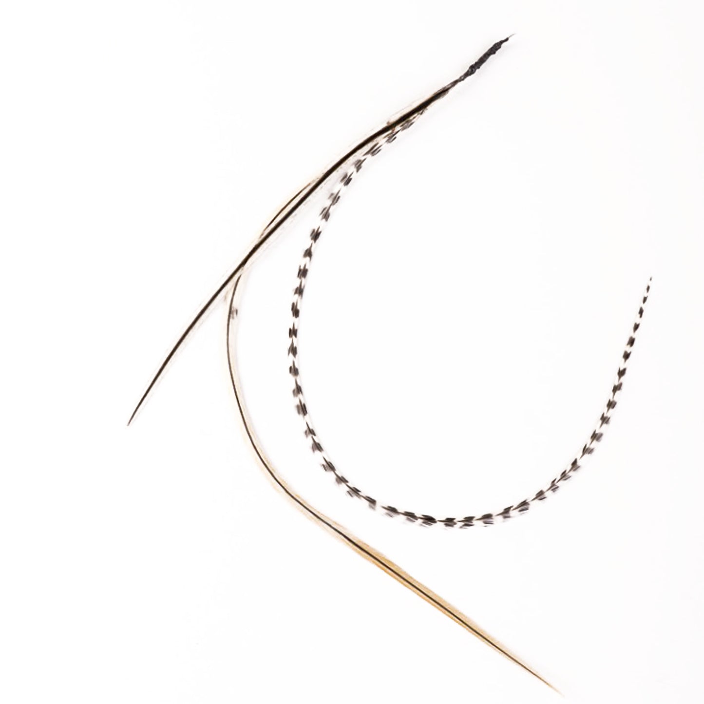 Feather extensions - 3 feathers - Seagull