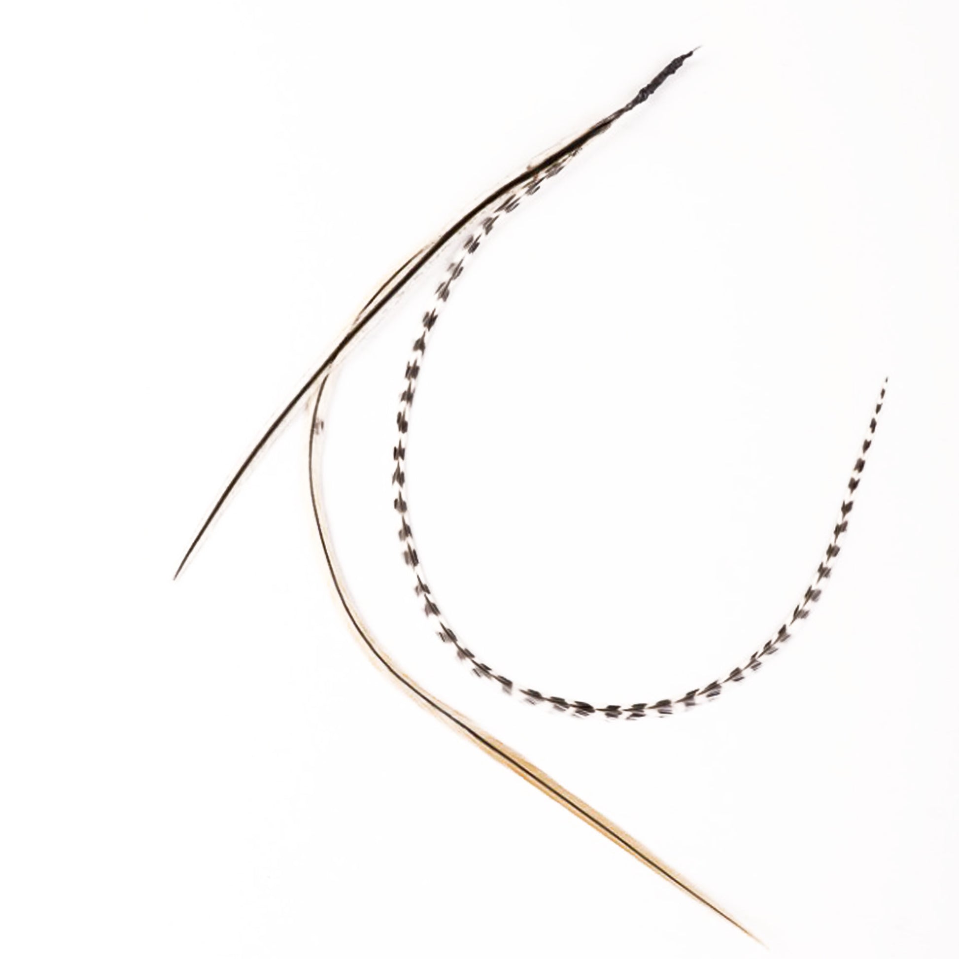 Feather extensions - 3 feathers - Seagull