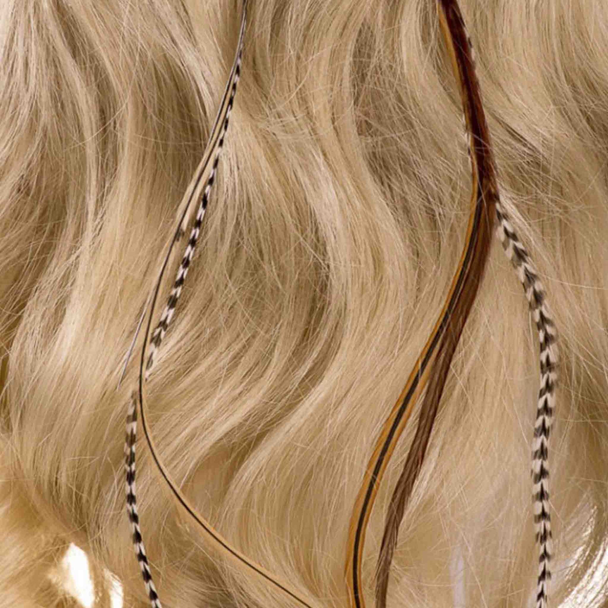 Feather extensions - 3 feathers - Seagull - Hair