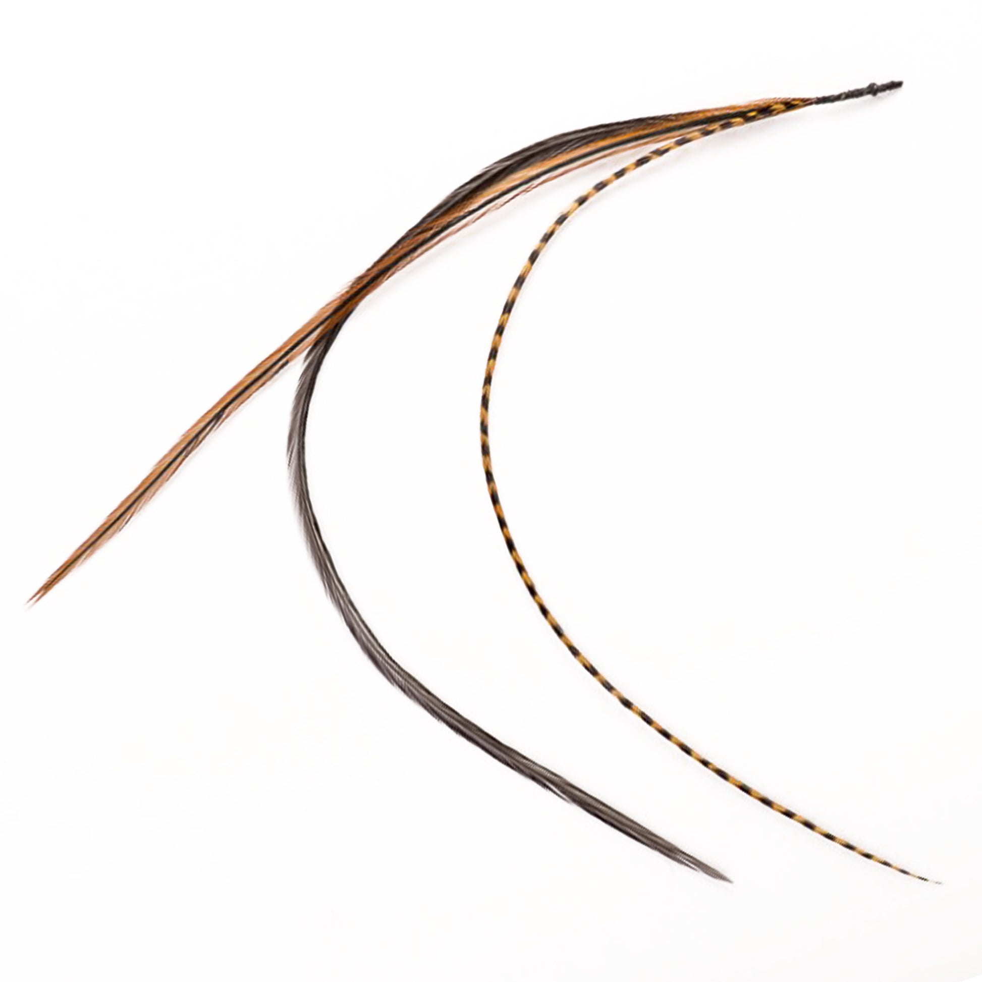 Feather extensions - 3 feathers - Tigress