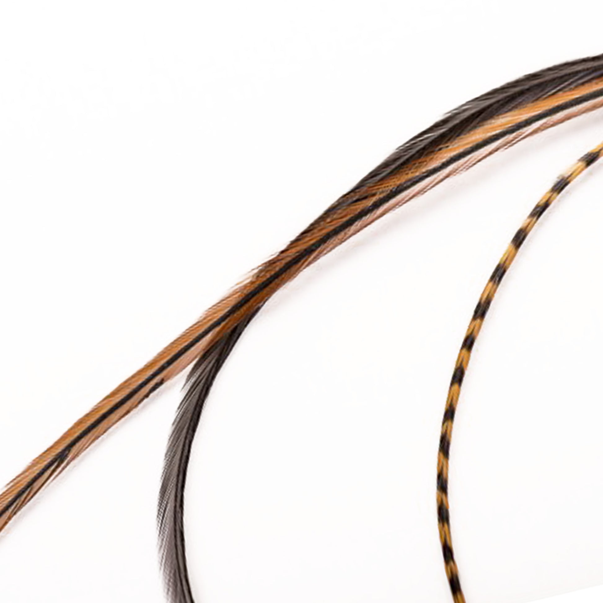 Feather extensions - 3 feathers - Tigress