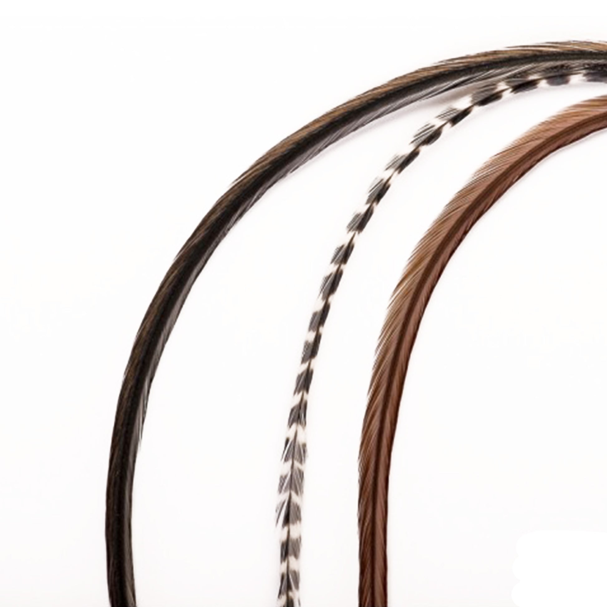 Feather extensions - 3 feathers - Wild night