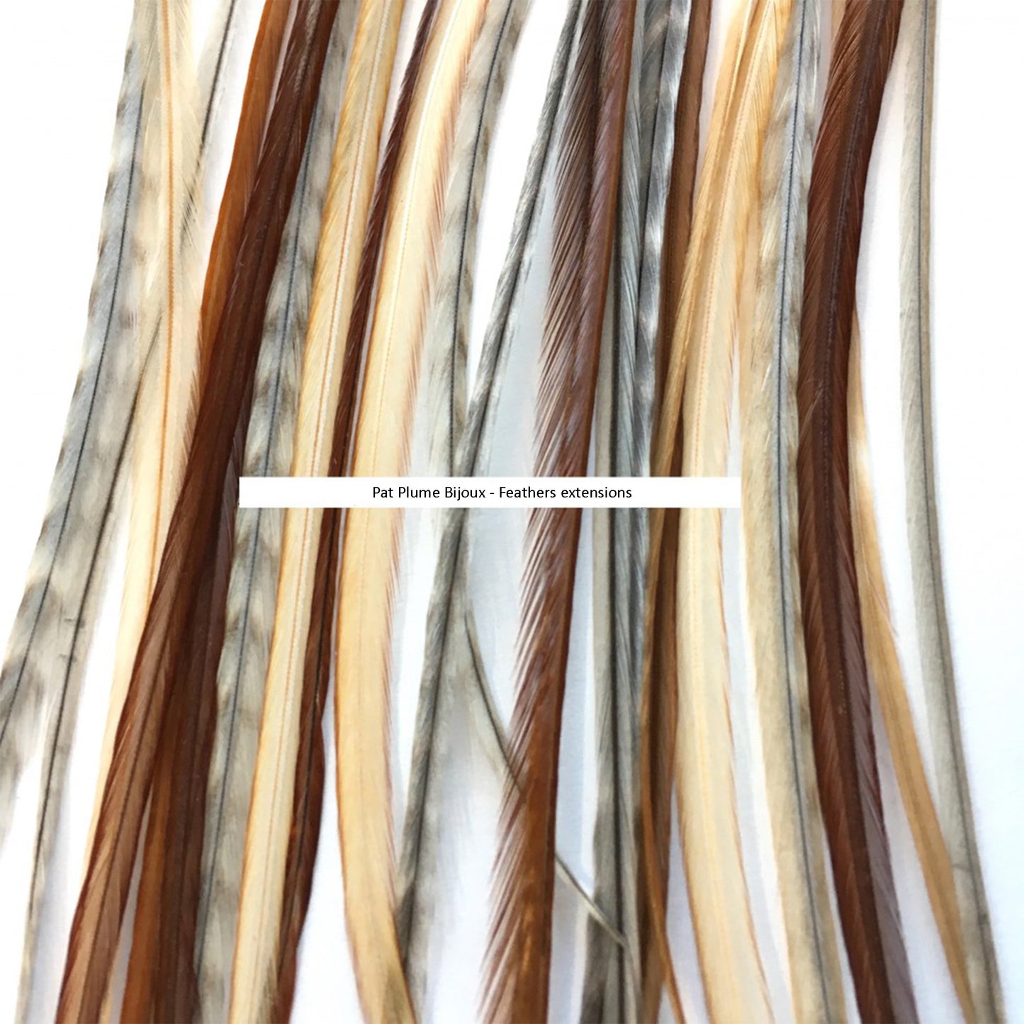 Feather extensions - Natural colors