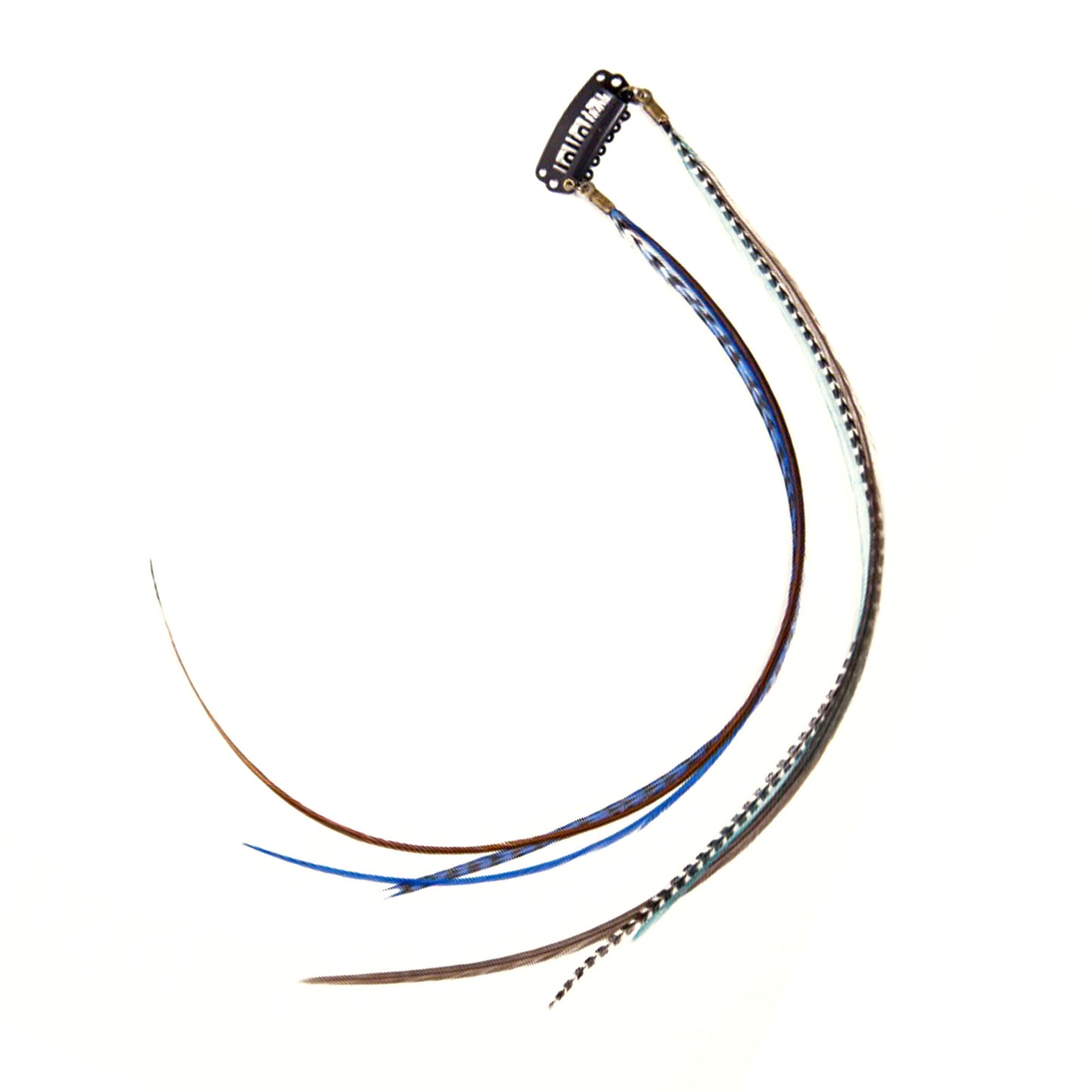 Feather extensions - Double Hairclip - Blue parrot