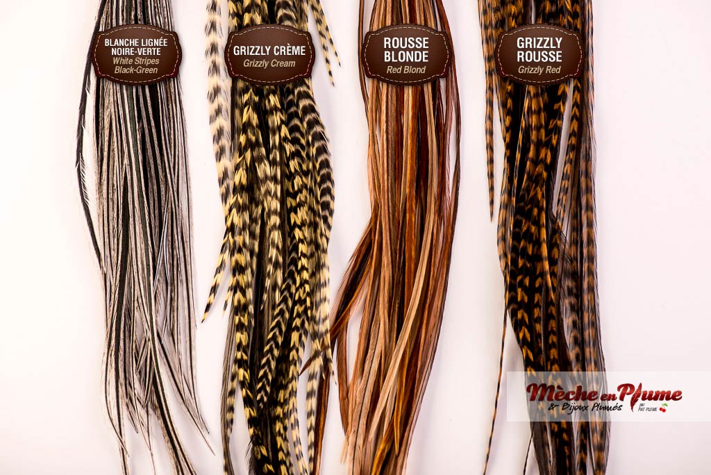 Feathers extensions - Natural colors feathers - color chart