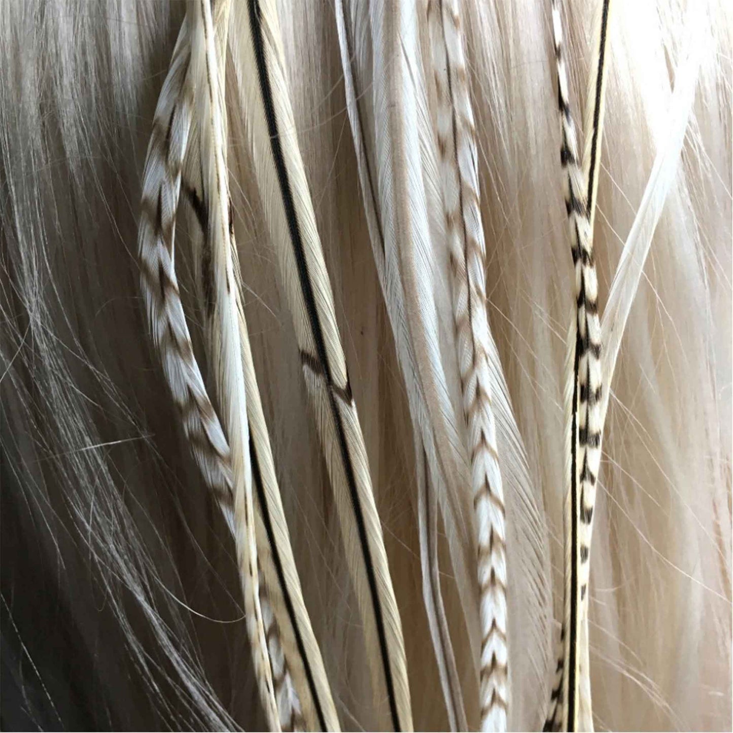 Feather extensions - 10 feathers - Blond