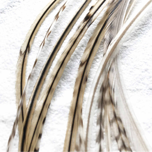 Feather extensions - 10 feathers - Blond