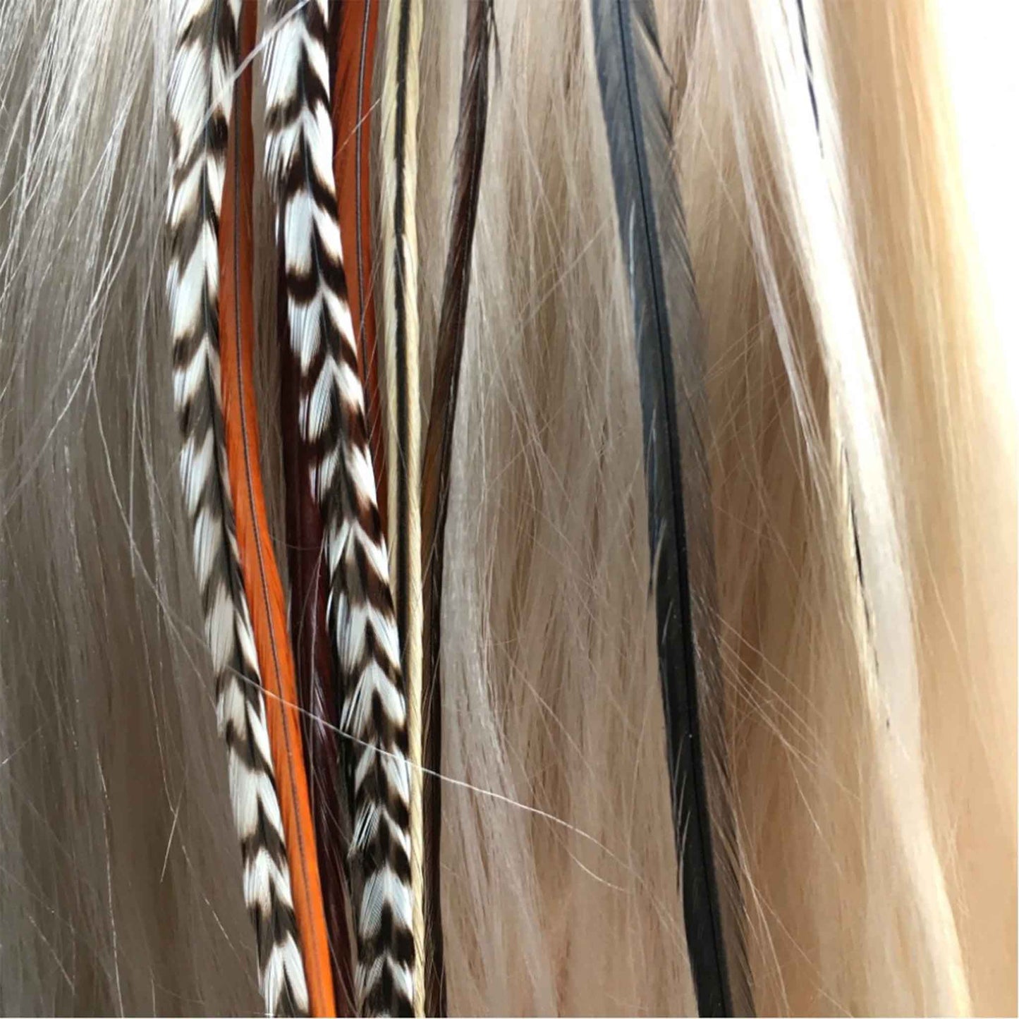 Feather extensions - Natural colors
