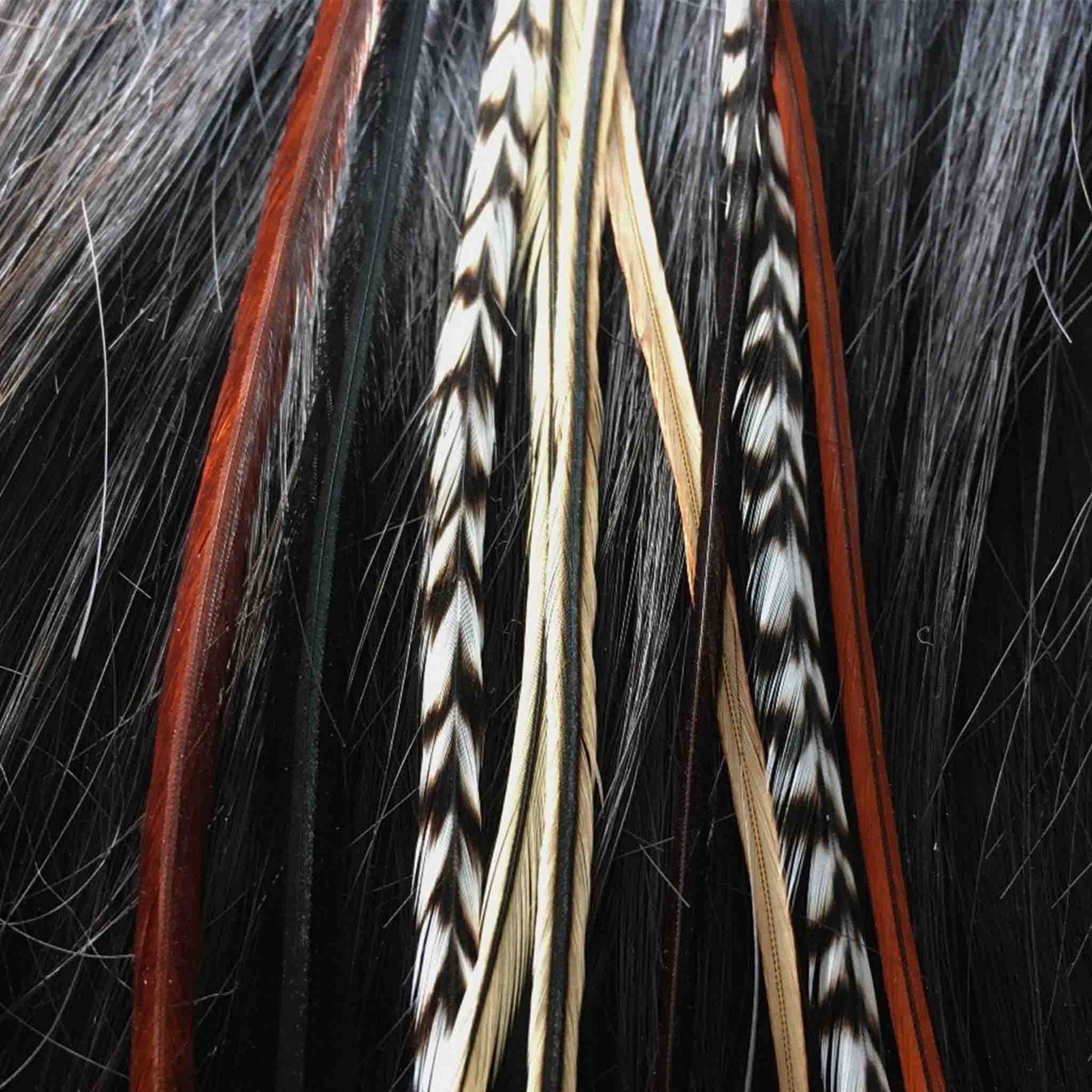 Feather extensions - Natural colors