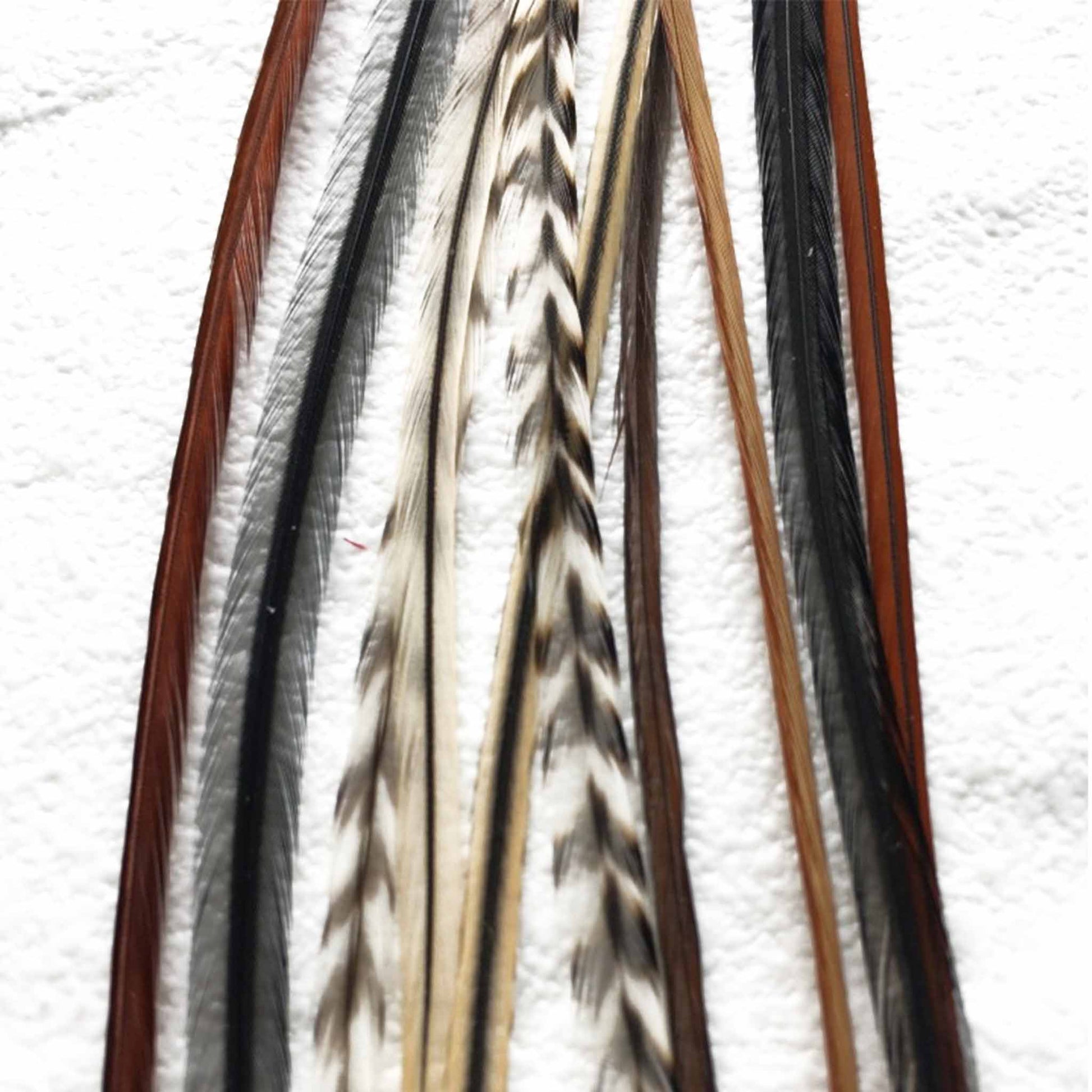 Bulk Feathers - 12 feathers- Natural colors