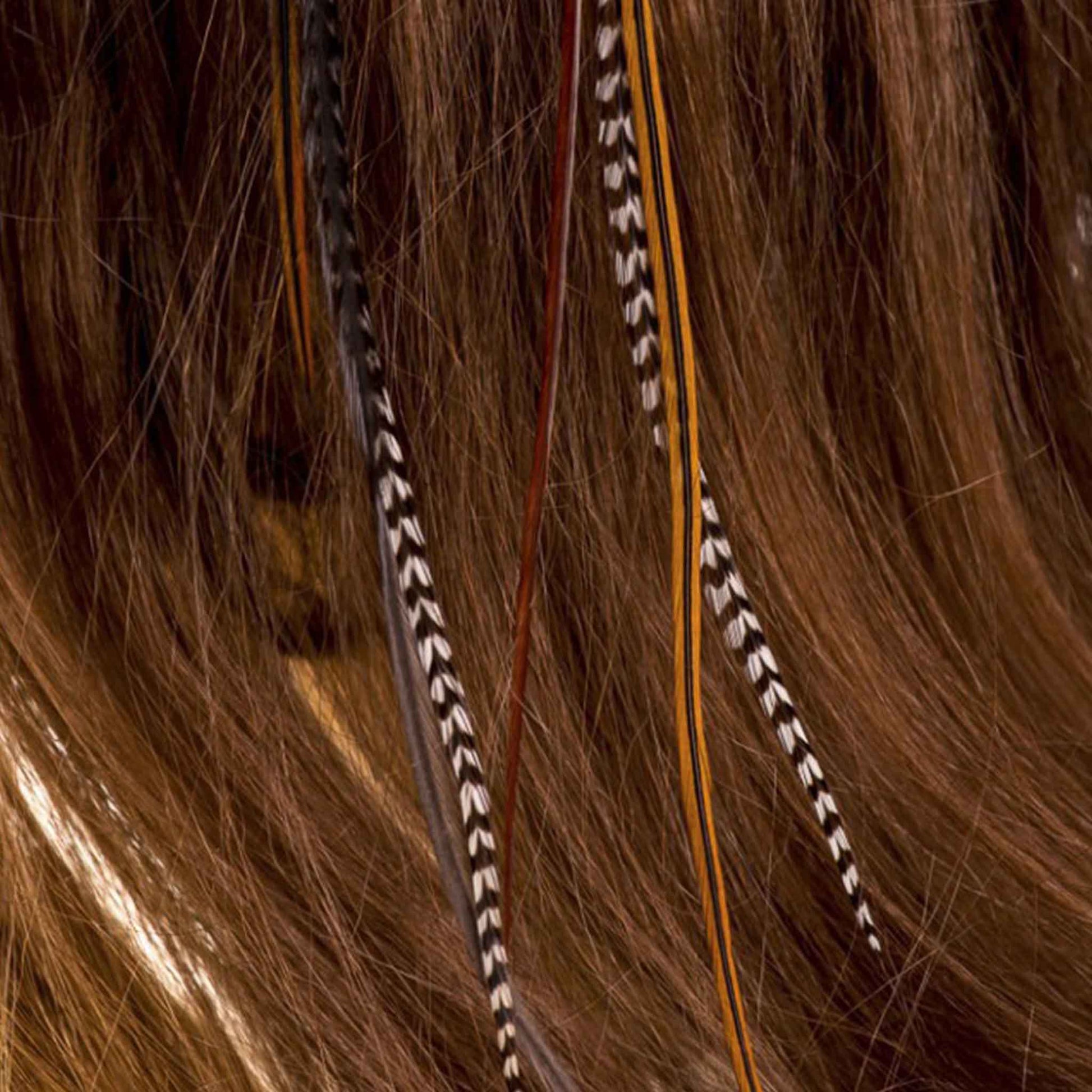 Feather extensions - 3 feathers - Hair
