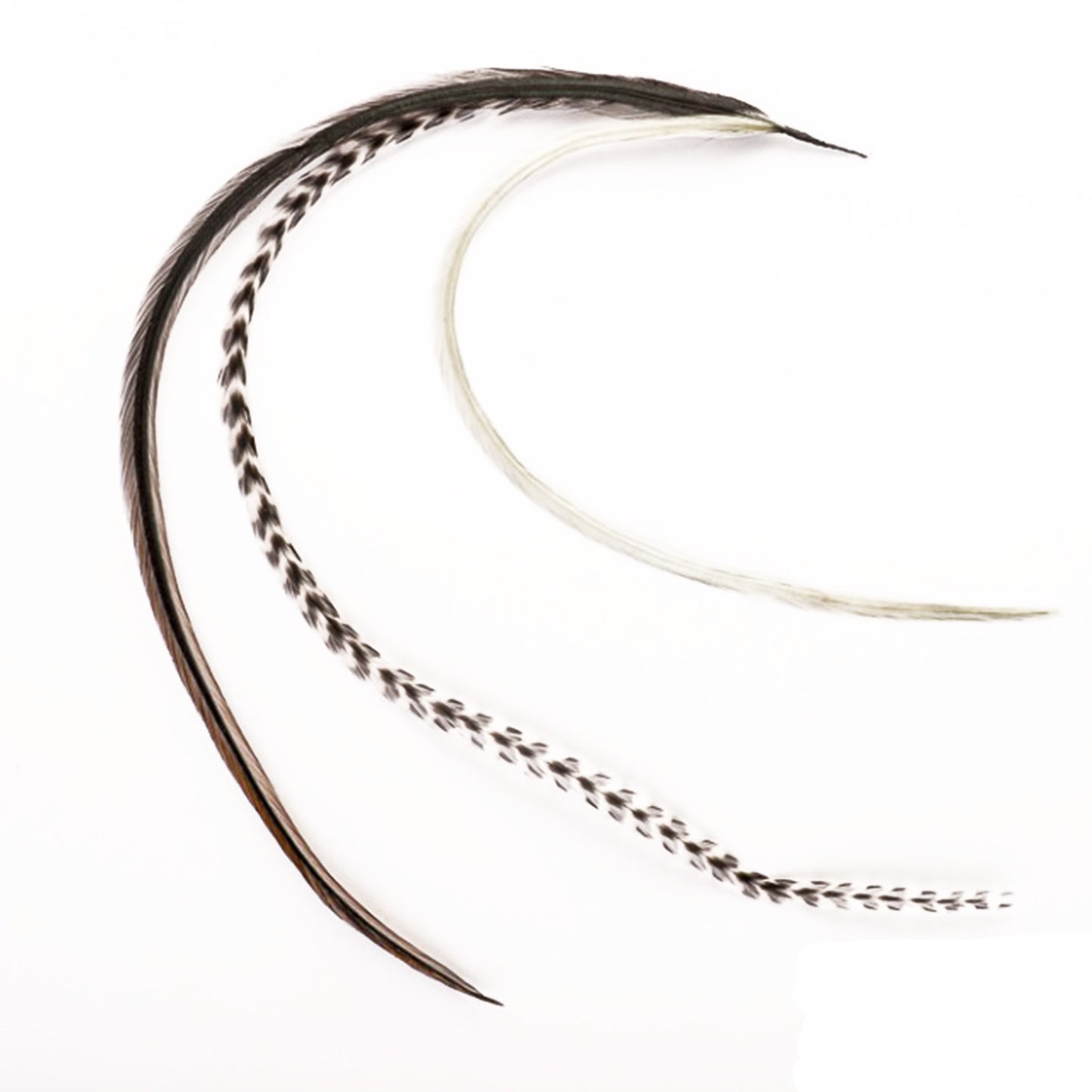 Feather extensions - 3 feathers - Wolf tail