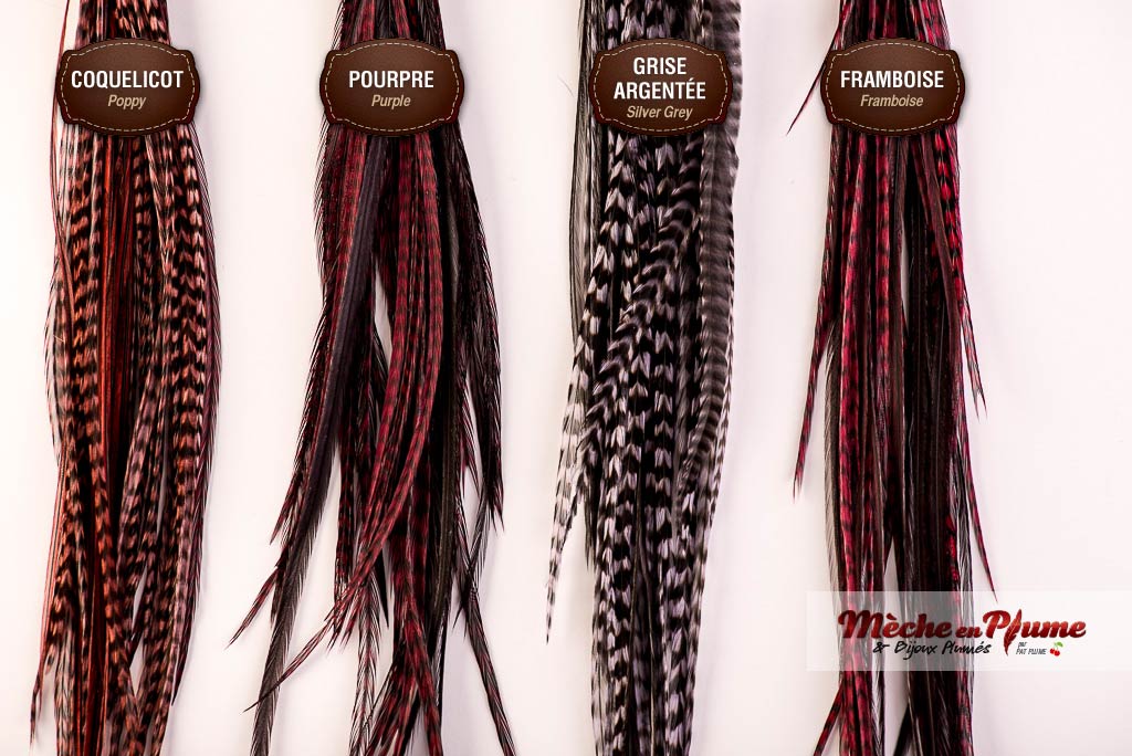 Feathers extensions - Red and grey feathers - color chart