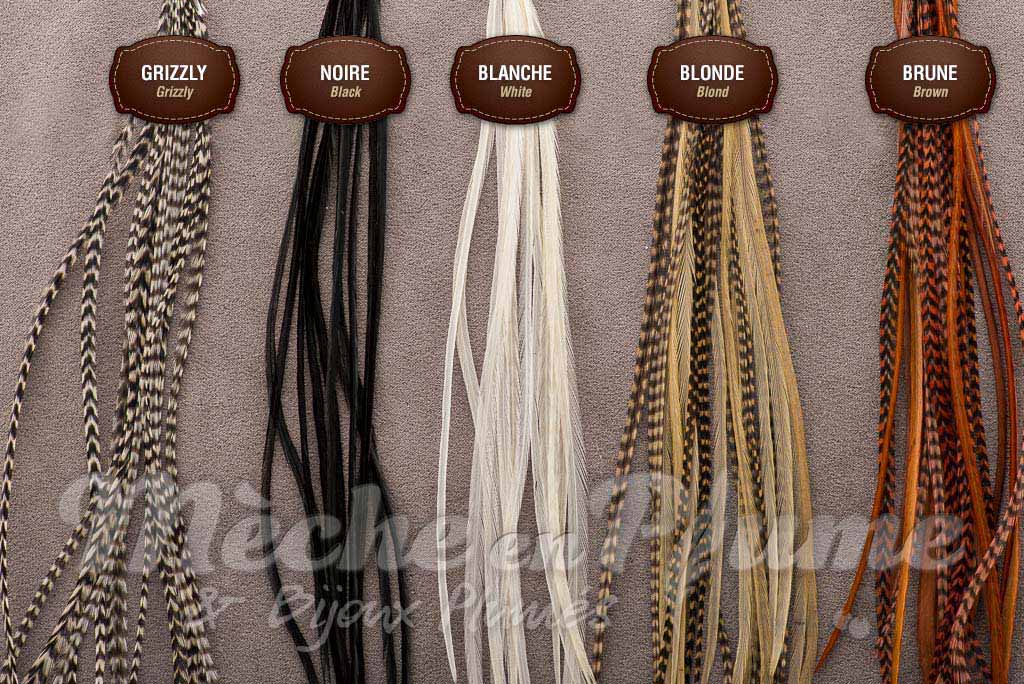 Feathers extensions - Natural colors feathers - color chart